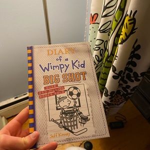 Diary of a wimpy kid book